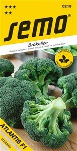 Brokolica Atlantis F1 30s *** **Karfiol Atlantis F1 40s *** **