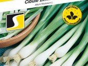 Cibuľa Gerda (nasekaná) 2g ***