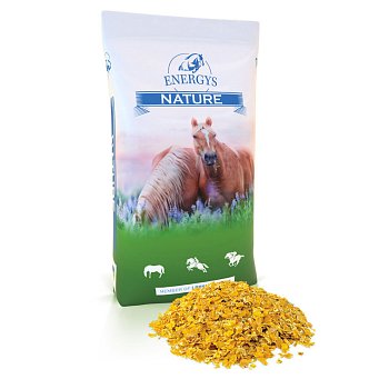 Energys Cornflakes (kukuricové vločky, 15 kg)