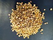 Hrách žlutý - Půlky s příměsí ječmene 1 kg