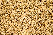Krmivo zmesi Kvídera Pade ryže 25 Kg