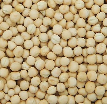 Krmné zmesi Kvídera Hrach žltý 1 kg