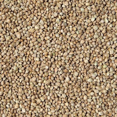 Krmné zmesi Kvídera Konopné semienko vážené - Semenec 20 Kg