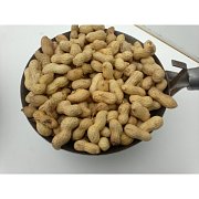 Krmné zmesi Kvídera Podzemnica olejná - neolúpaná repa 20 Kg.