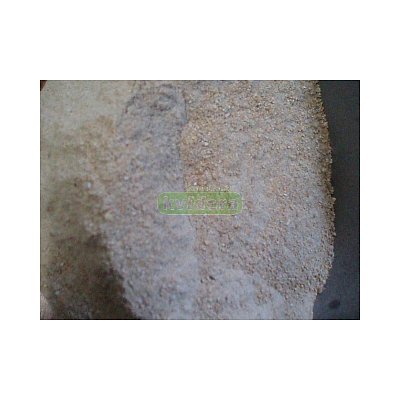 Mikrop Čebín a.s. Bílkovinný koncentrát BK nosnice 1 Kg
Mikrop Čebín a.s. Proteínový koncentrát BK nosnice 1 Kg