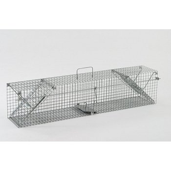 Minulosť - past na kuny - 100 cm
