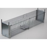 Minulost sklopná veľká - mladé líšky, kuny, mačky - 120 cm