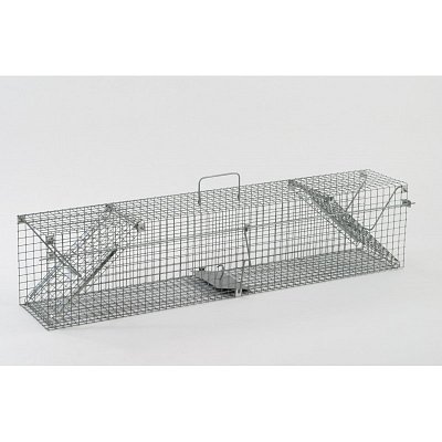 Minulý deň - pasca na kuny - 120 cm.