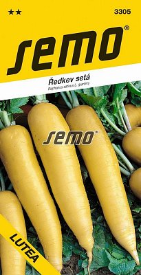Repa sieťovaná Lutea