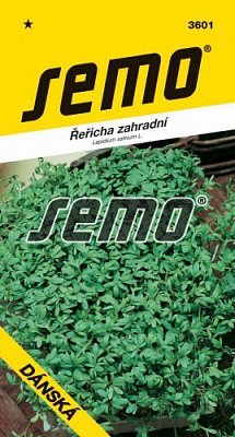 Rezucha záhradná Dánska 6g