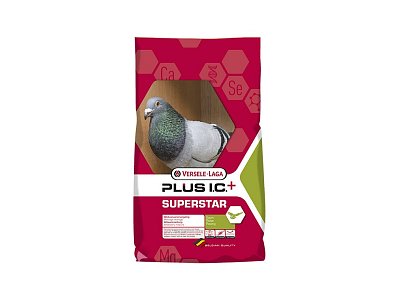 Superstar Plus vdovci ( pro holuby)