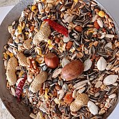 Versele Laga, n.v. Parrots Exotic Nut mix (zmes pre exotické papagáje - orechy) 1 kg