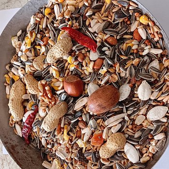 Versele Laga n.v. Parrots Exotic Nut mix (zmes pre papagáje - orechy) 15 kg