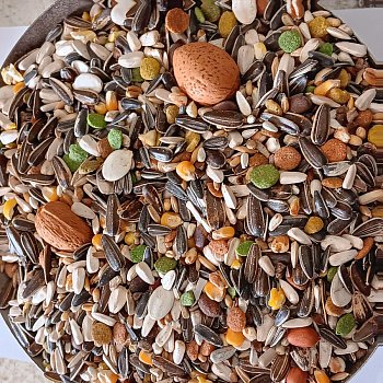 Versele Laga, n.v. Zmes pre papagáje Ara Loro Mix 15 kg