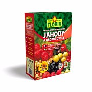 Výpredaj Floria OM hnojiva pre jahody a ovocie 2,5 kg výpredaj.