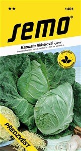Výpredaj - Kapusta Predzvesť 1g ** - Výpredaj