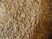 Zea Sedmihorky, spol. s r. o. Krmivo pre hospodárske nosnice N 3 GMO FREE sypké 1 kg