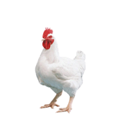 Hľadajú osoby