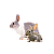 Kraliky a zajace