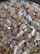 Krmivová zmes Kvedera Kukurica 2. kvalita 1 kg.