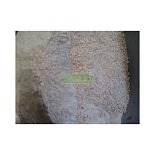 Mikrop Čebín a.s. Proteínový koncentrát BK CDP 1 kg