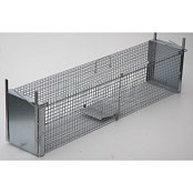 Minulost sklopná veľká - mladé líšky, kuny, mačky - 120 cm