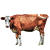 STB