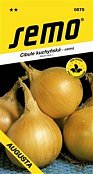 Cibuľa zimná Augusta 2g **