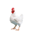 Hľadajú osoby