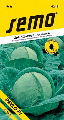Hlávkový šalát Unikát F1 50s **