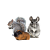 HLAVNÉ JAZYKY