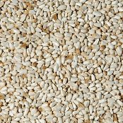 Krmivné zmesi Kvídera Kardi (svetlica farbiarska) 1 kg