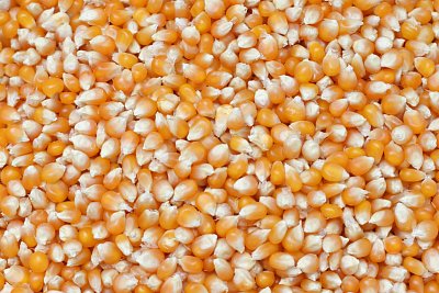 Krmivné zmesi Kvídera Kukuřica popkornová 1 Kg