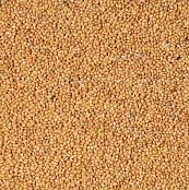 Krmivo zmes Kvídera Proso žlté 1kg
