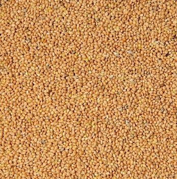 Krmivo zmes Kvídera Proso žlté 1kg