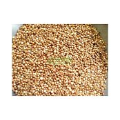 Krmné zmesi Kvídera Čirok 1 Kg