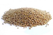 Krmné zmesi Kvídera Hořčice 1 Kg
