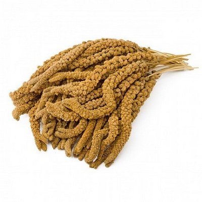 Krmné zmesi Kvídera Proso senegalské - žlté klasy 15 kg
