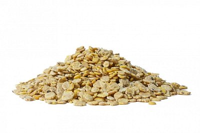  1 kg