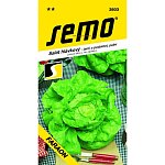 Výpredaj - Šalát Faraón **