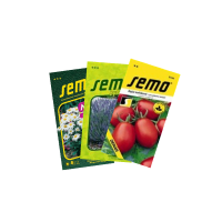 Semená a osivá
