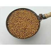 Sójové bôby 25 kg.