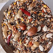 Versele Laga, n.v. Parrots Exotic Nut mix (zmes pre exotické papagáje - orechy) 1 kg