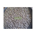 Výpredaj Krmná zmes pre jahňatá a kozlíky ČOJ ST 25kg výpredaj