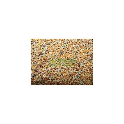 Zob pre holuby D079 1 kg

Znamená to krmivo určené pre holuby s označením D079, vážiace 1 kg.